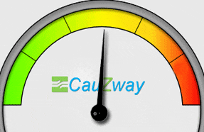 CauZway Temperature Sensors
